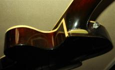 Gretsch Tennessean 6119_8