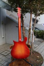Rickenbacker 450_4