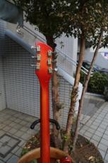 Rickenbacker 450_5