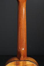 G String T4 Custom Tenor Ukulele_9