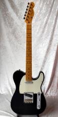 Fender American ProfessionalⅡ Telecaster_2