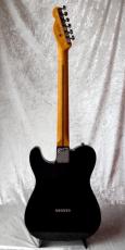 Fender American ProfessionalⅡ Telecaster_3