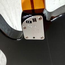 Fender American ProfessionalⅡ Telecaster_6