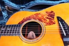 Terry's Terry PTJ-100GB / Abalone Head and Body Trim and Rosette・Premium German Spruce Top・Premium　Jacaranda Side and Back・Genuine Tortoise Pick-guard・Honduras Mahogany Neck【With Original Hard Case】 2022年製_9