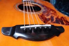 Terry's Terry PTJ-100GB / Abalone Head and Body Trim and Rosette・Premium German Spruce Top・Premium　Jacaranda Side and Back・Genuine Tortoise Pick-guard・Honduras Mahogany Neck【With Original Hard Case】 2022年製_10