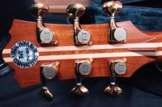 Terry's Terry PTJ-100GB / Abalone Head and Body Trim and Rosette・Premium German Spruce Top・Premium　Jacaranda Side and Back・Genuine Tortoise Pick-guard・Honduras Mahogany Neck【With Original Hard Case】 2022年製_13