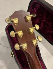 Taylor 810 1994's_5