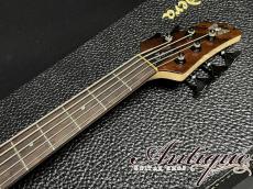 Fodera Emperor 5 Strings Elite Custom 2015年製 Brazilian Top & Headstock & Fingerboard & PU-Cover w/Seymour Duncan Custom PU EX+++ 4.95kg “Special Order”_10