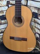 WOLFGANG TELLER ヴォルフガング・テラー 2006年製 Model834 松単板・メイプル単板【日本総本店2F 在庫品】_2