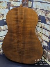 WOLFGANG TELLER ヴォルフガング・テラー 2006年製 Model834 松単板・メイプル単板【日本総本店2F 在庫品】_7