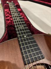Taylor Builder's Edition 517 V-Class WHB_5