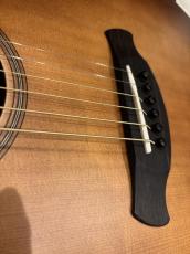 Taylor Builder's Edition 517 V-Class WHB_7