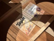 Taylor Builder's Edition 517 V-Class WHB_8