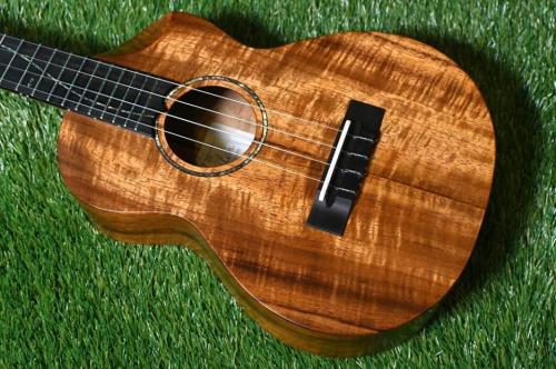 Seilen SLTSC-204 Tenor【USED】