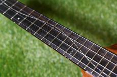 Seilen SLTSC-204 Tenor【USED】_7