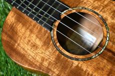 Seilen SLTSC-204 Tenor【USED】_10