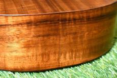 Seilen SLTSC-204 Tenor【USED】_12