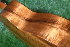 Seilen SLTSC-204 Tenor【USED】_14