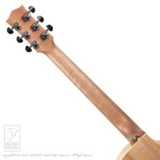 Maton Performer-LH_7