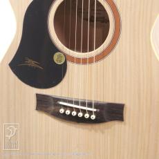 Maton Performer-LH_12