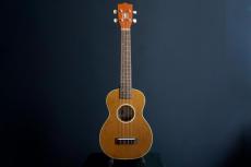 Seilen SLMT-3720 Mini Tenor