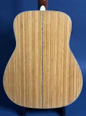 YAMAHA FGX-B1N_3