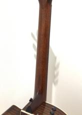 Taylor 814ce Special Edition Shade Edge Burst_8