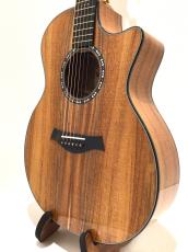Taylor C24ce B5043 Custom GA,Koa(AA)【NAMM Customs 2025】