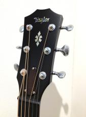 Taylor Custom GPe Lutz Spruce / Figured Urban Ash_3