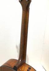 Taylor Custom GPe Walnut / Walnut_7