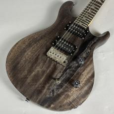 Paul Reed Smith [PRS] SE CE 24 STANDARD SATIN【現物写真】_3