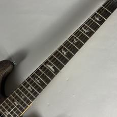 Paul Reed Smith [PRS] SE CE 24 STANDARD SATIN【現物写真】_4