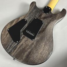 Paul Reed Smith [PRS] SE CE 24 STANDARD SATIN【現物写真】_7