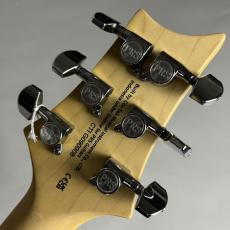 Paul Reed Smith [PRS] SE CE 24 STANDARD SATIN【現物写真】_9