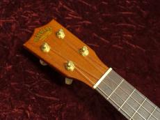 ASTURIAS Soprano Maho 12_6