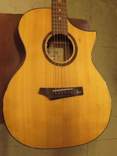 Gopherwood Guitars i320RCE-JP/Origin