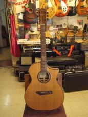 Gopherwood Guitars i320RCE-JP/Origin_2
