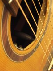 Gopherwood Guitars i320RCE-JP/Origin_5