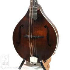 Eastman MD-305【36回無金利対象品】