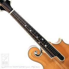 Bourgeois M5-F【36回無金利対象品】_5