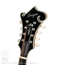 Bourgeois M5-F【36回無金利対象品】_7