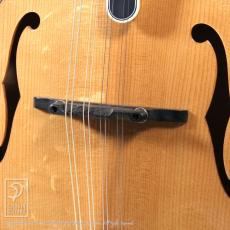 Bourgeois M5-F【36回無金利対象品】_10
