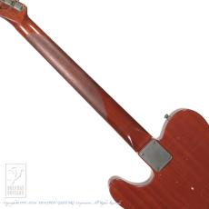 Nash Guitars T-59 FLM【36回無金利対象品】_6