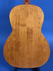 Waterloo WL-S_5