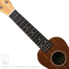 COTONE CS3S_5