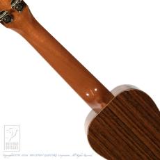 COTONE CS3S_6