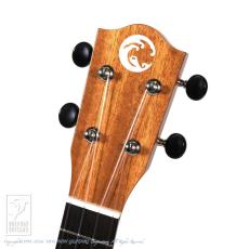 COTONE CS3S_7