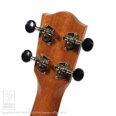 COTONE CS3S_8