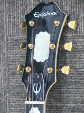 Epiphone FT120 Masterbilt Excellente VS Conversion_7