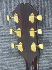 Epiphone FT120 Masterbilt Excellente VS Conversion_8